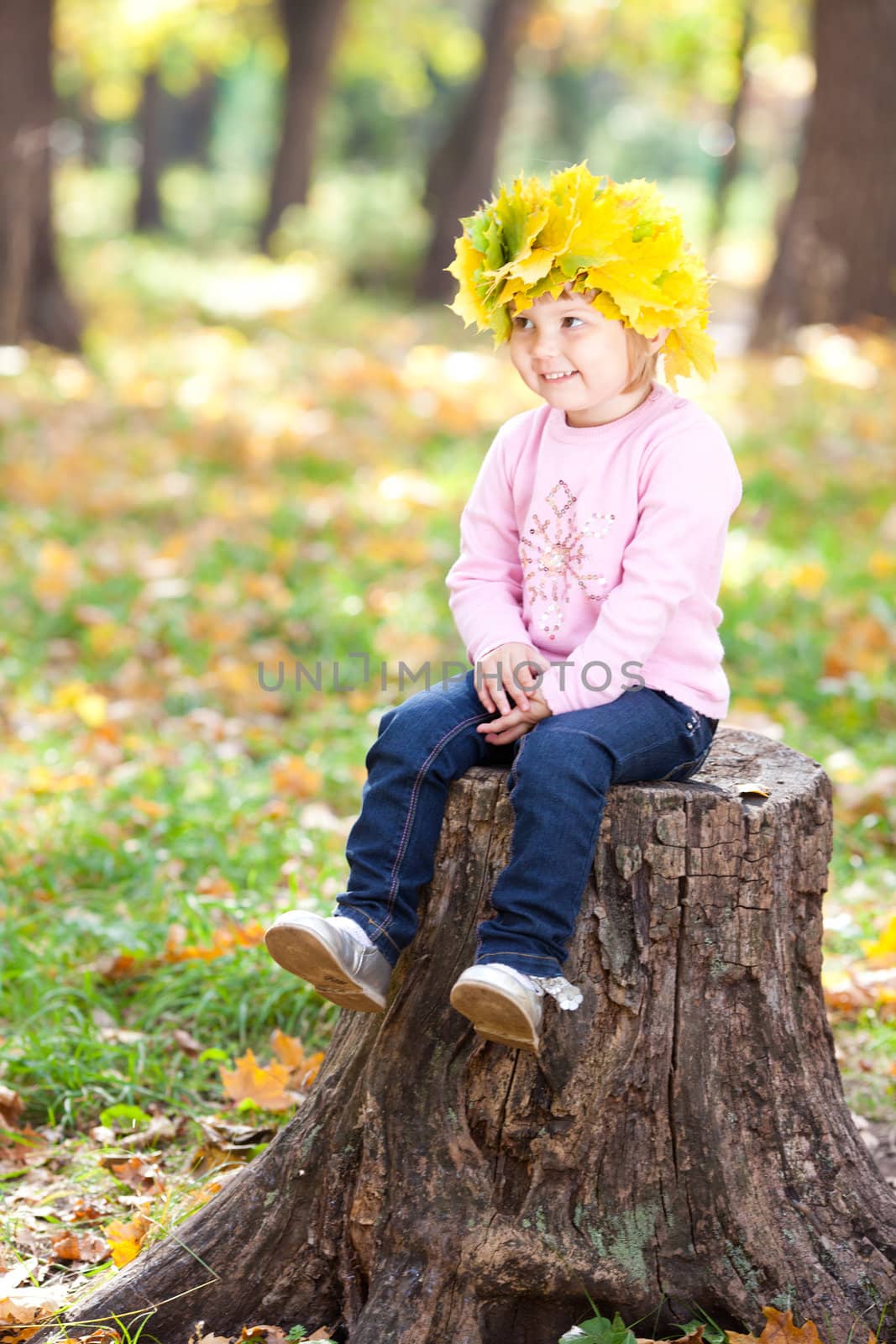 beautiful little girl in a wreath of maple leaves sitting on stump