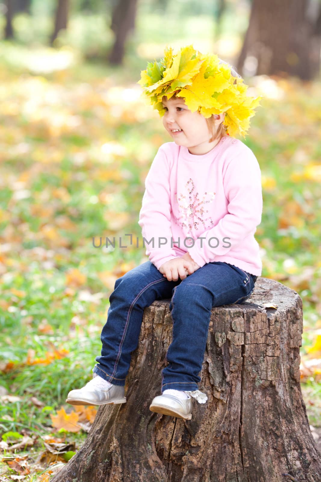 beautiful little girl in a wreath of maple leaves sitting on stump