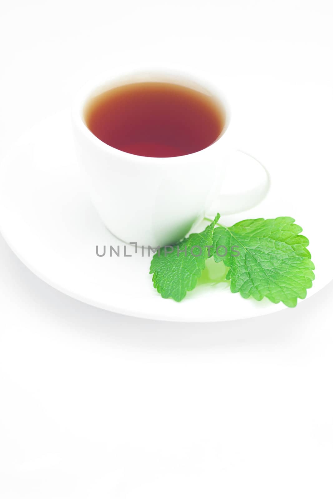 cup of tea and mint isolated on white