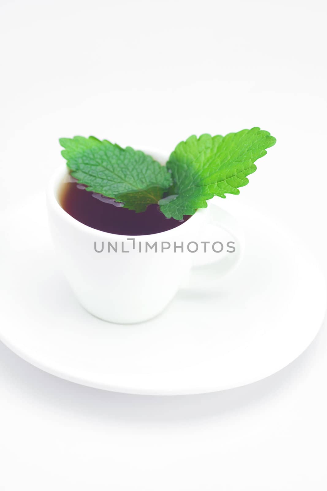 cup of tea and mint isolated on white by jannyjus
