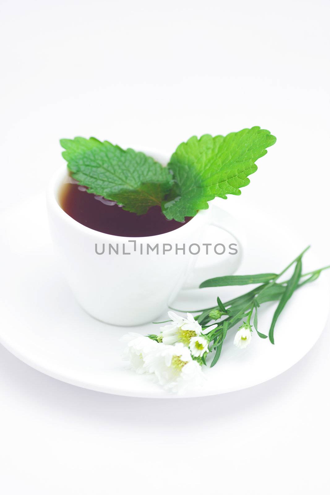 cup of tea,mint and chamomile isolated on white