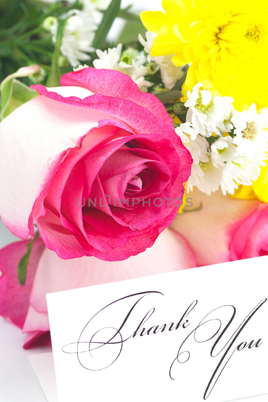 roses, chamomile, chrysanthemums and a card with the words thank you isolated on white