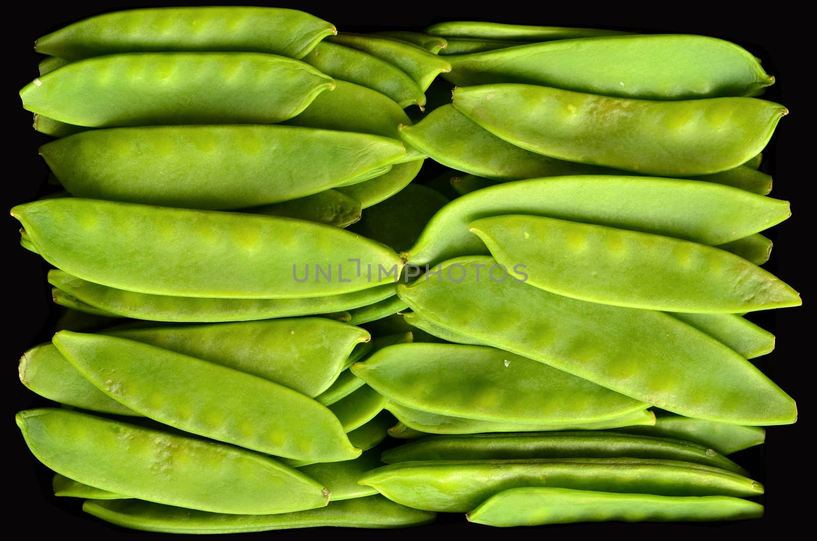 Food Texture Of Organic Fresh Snow Peas WIth Black Background