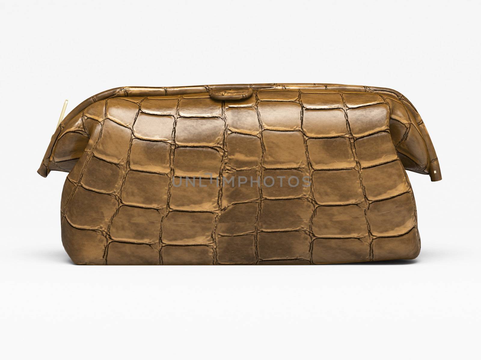 Leather clutch closeup on a light background