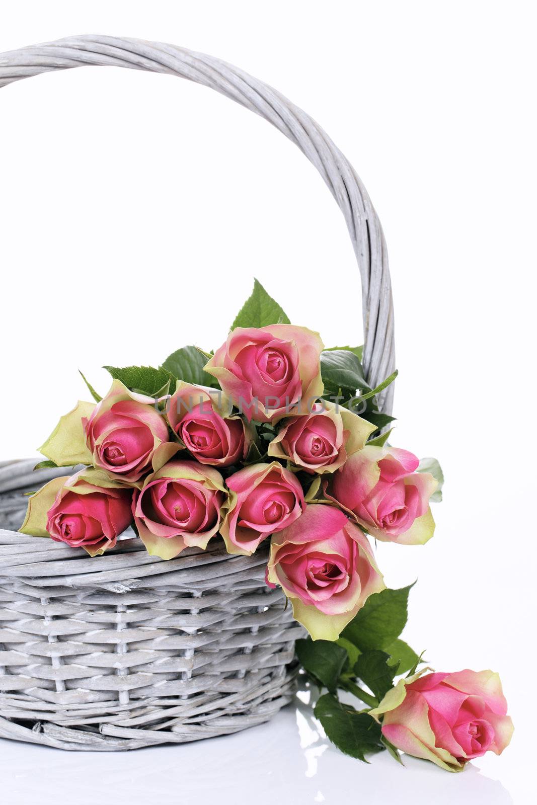 pink roses in Basket on white background