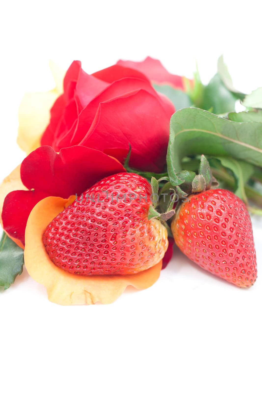 bouquet of colorful roses and strawberry isolated on white by jannyjus