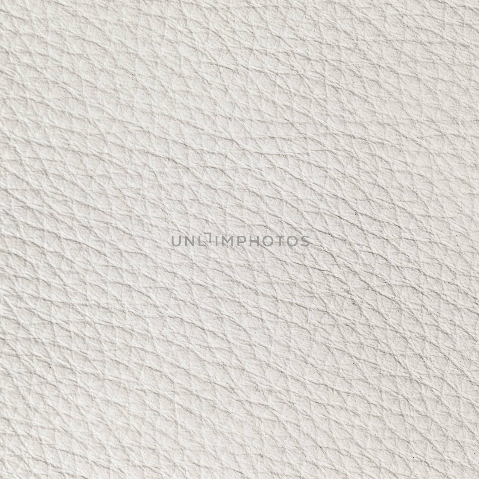white leather texture close up