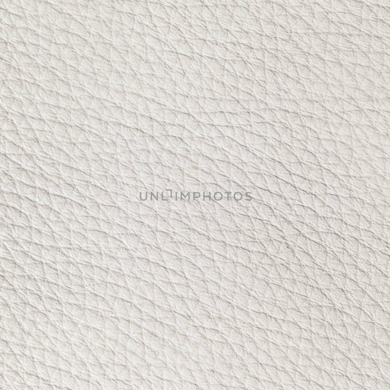 white leather texture close up