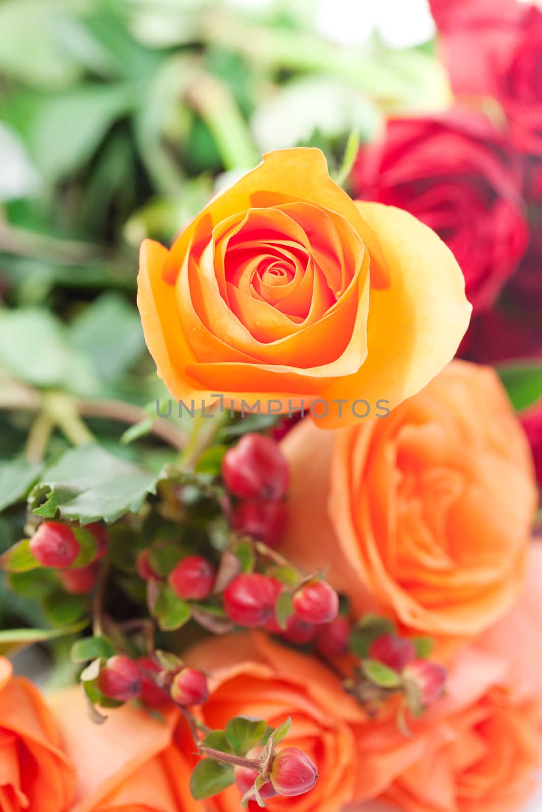 bouquet of colorful roses 