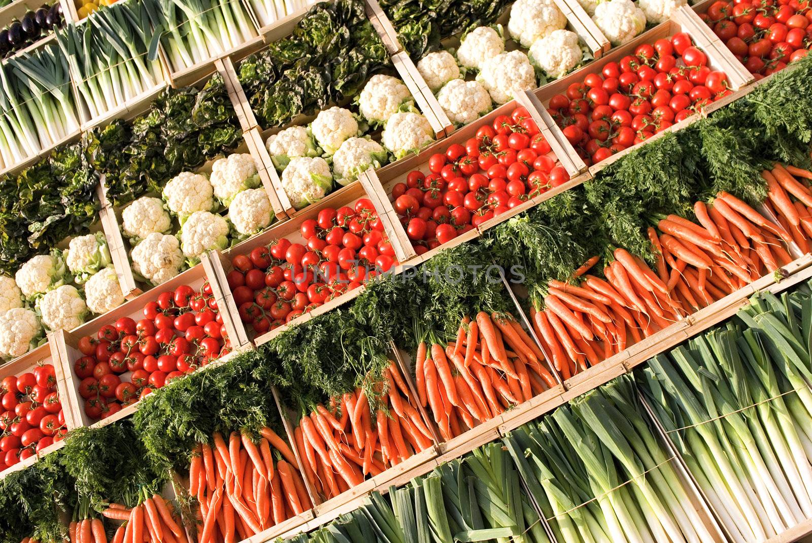different types of fresh vegetables on market