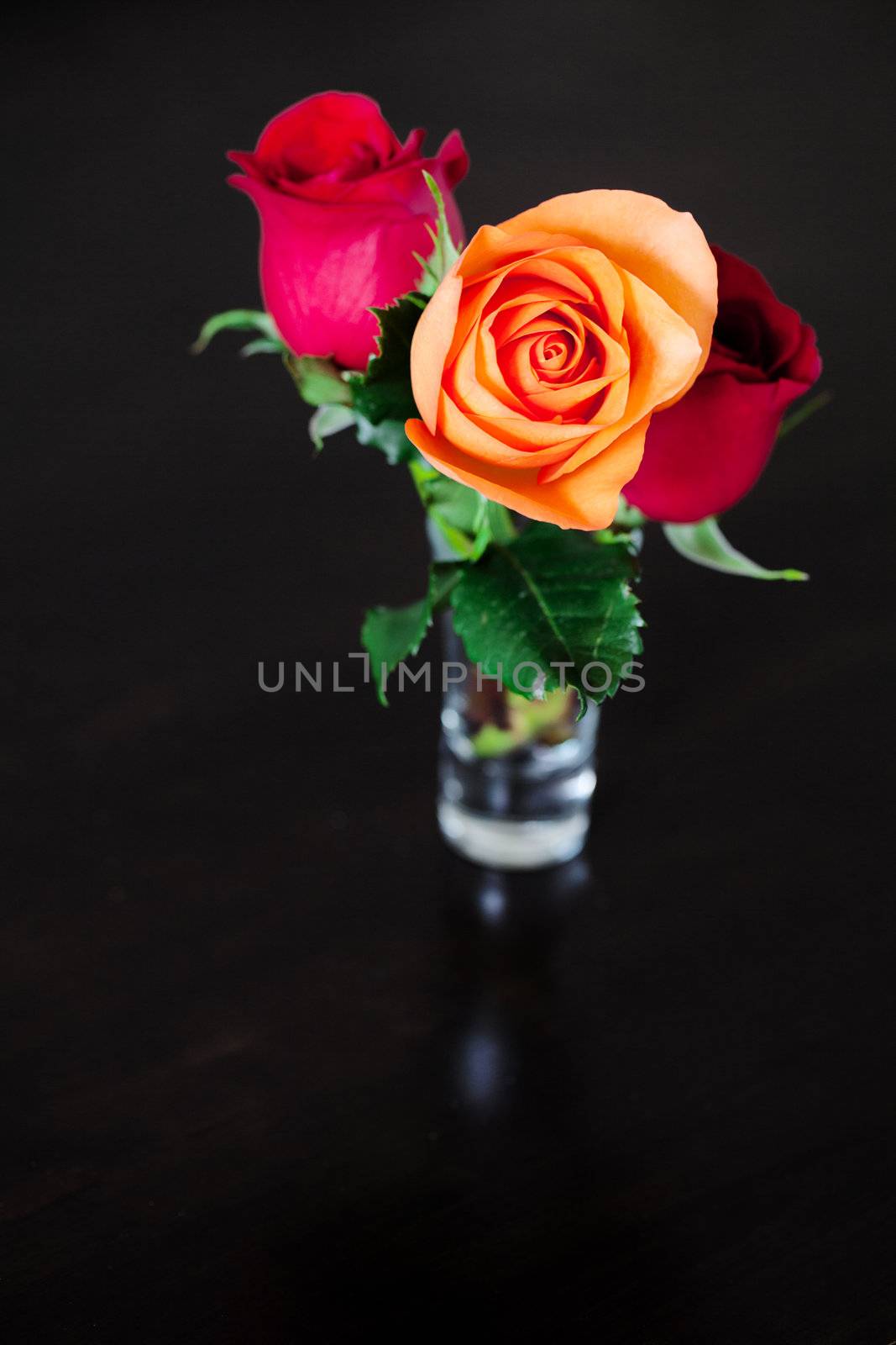 bouquet of colorful roses in a vase on a wooden table by jannyjus