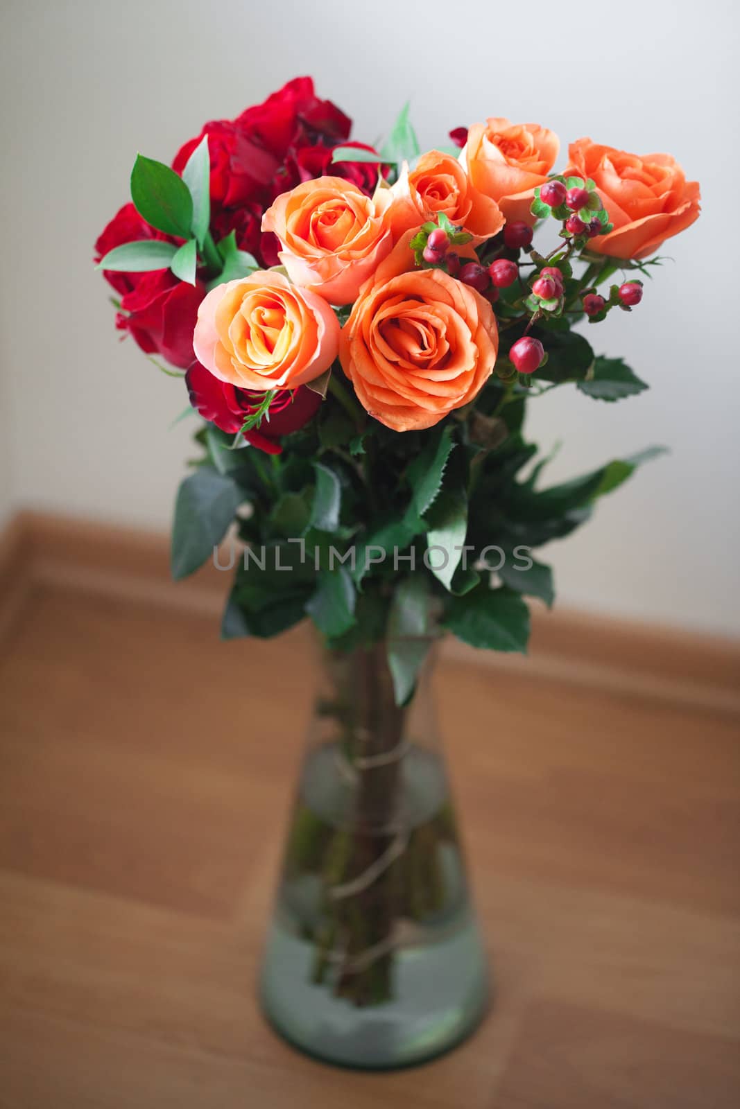 bouquet of colorful roses in a vase on white background by jannyjus