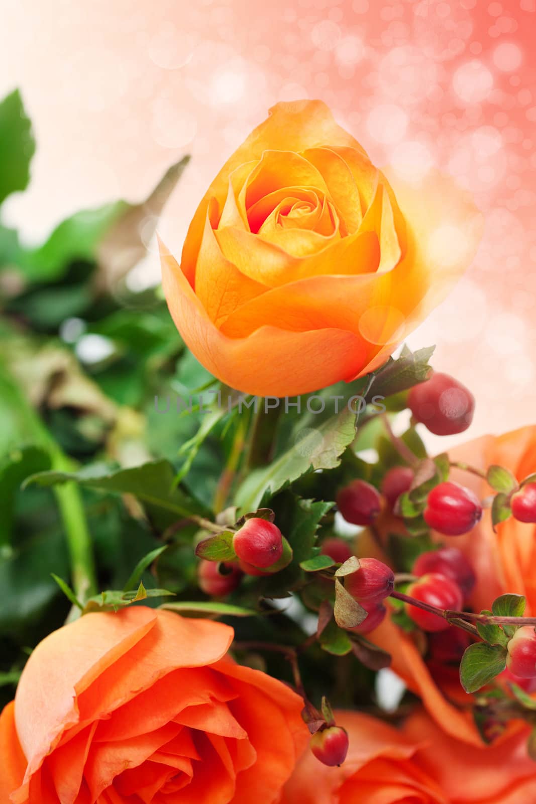 bouquet of colorful roses with bokeh by jannyjus