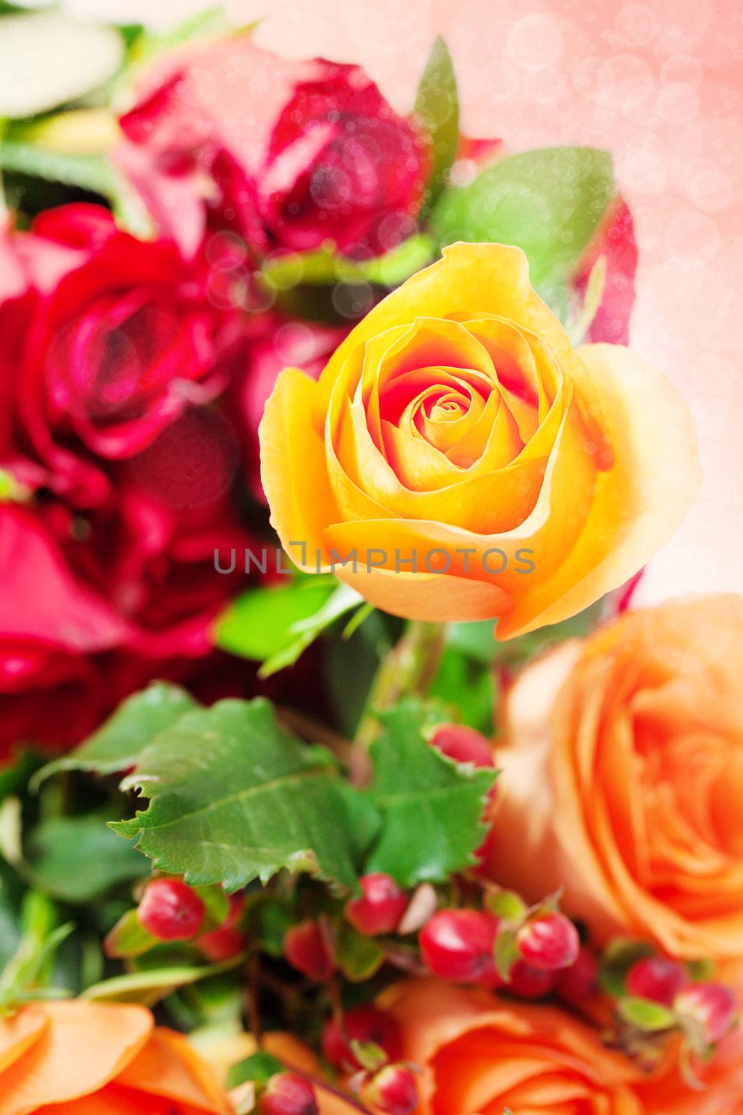 bouquet of colorful roses with bokeh