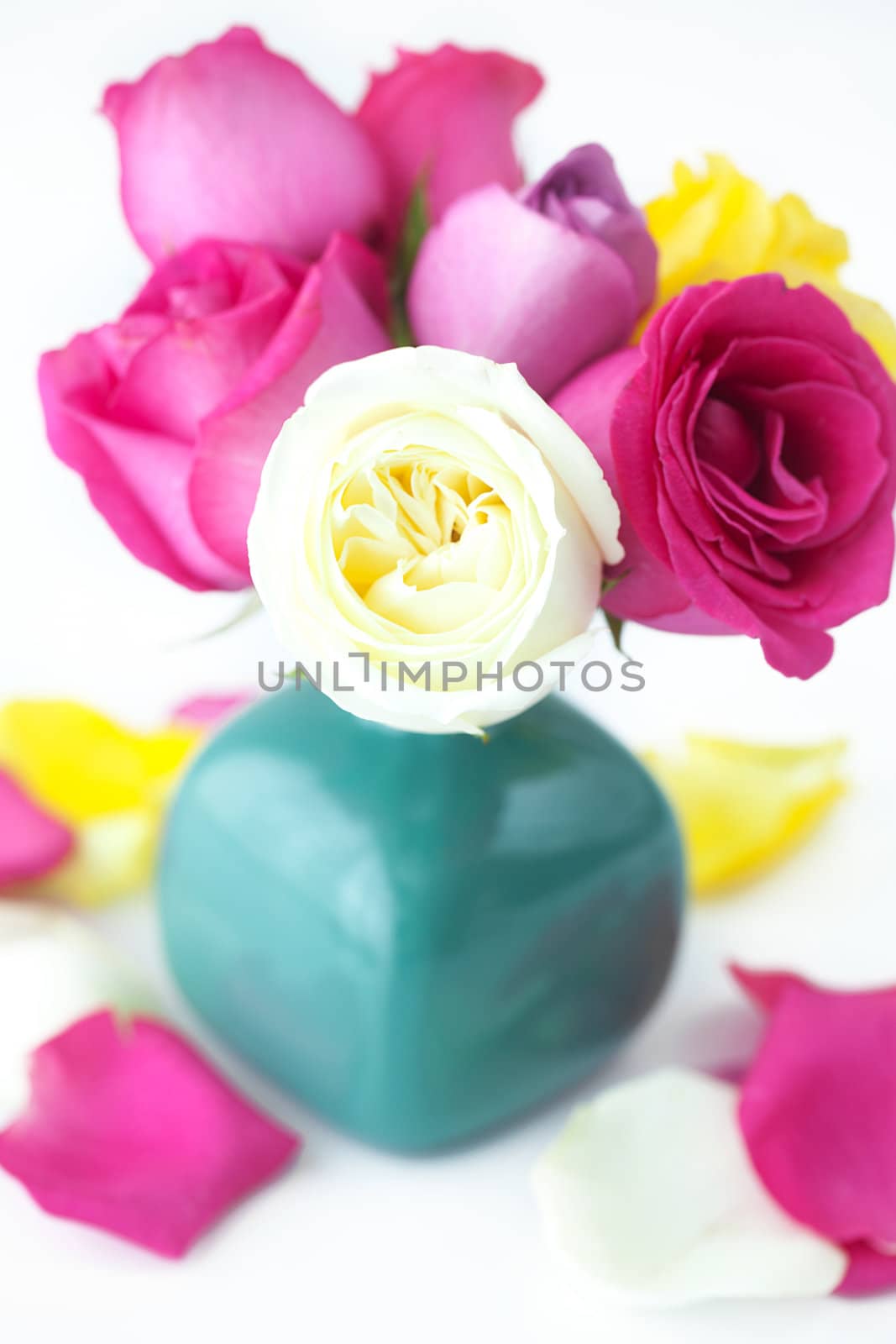 bouquet of colorful roses in vase and petals  by jannyjus