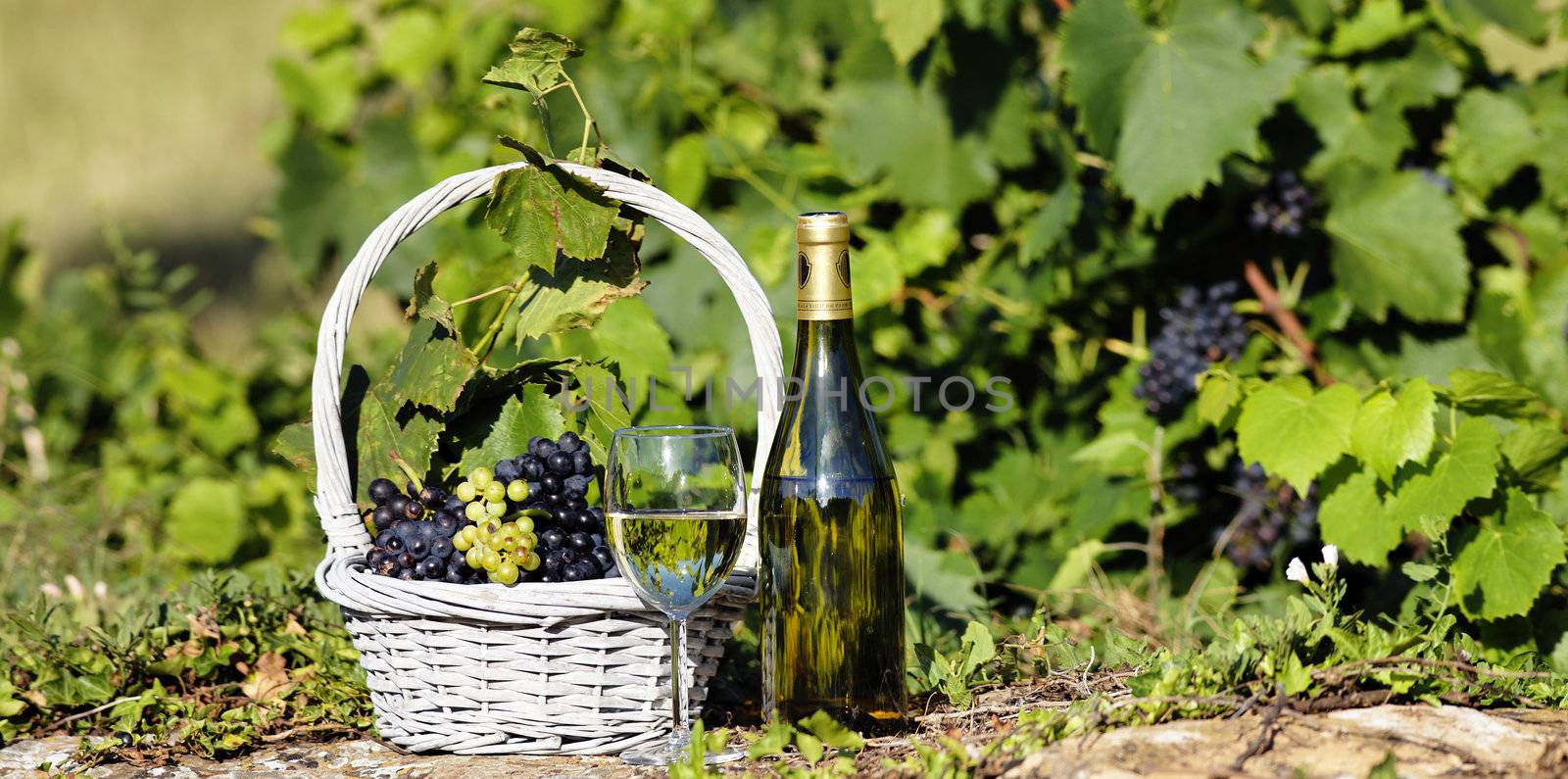 glass and bottle of white wine with grapes in basket, France