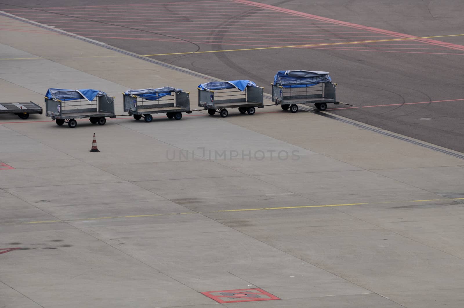 Empty luggage carts at the airport