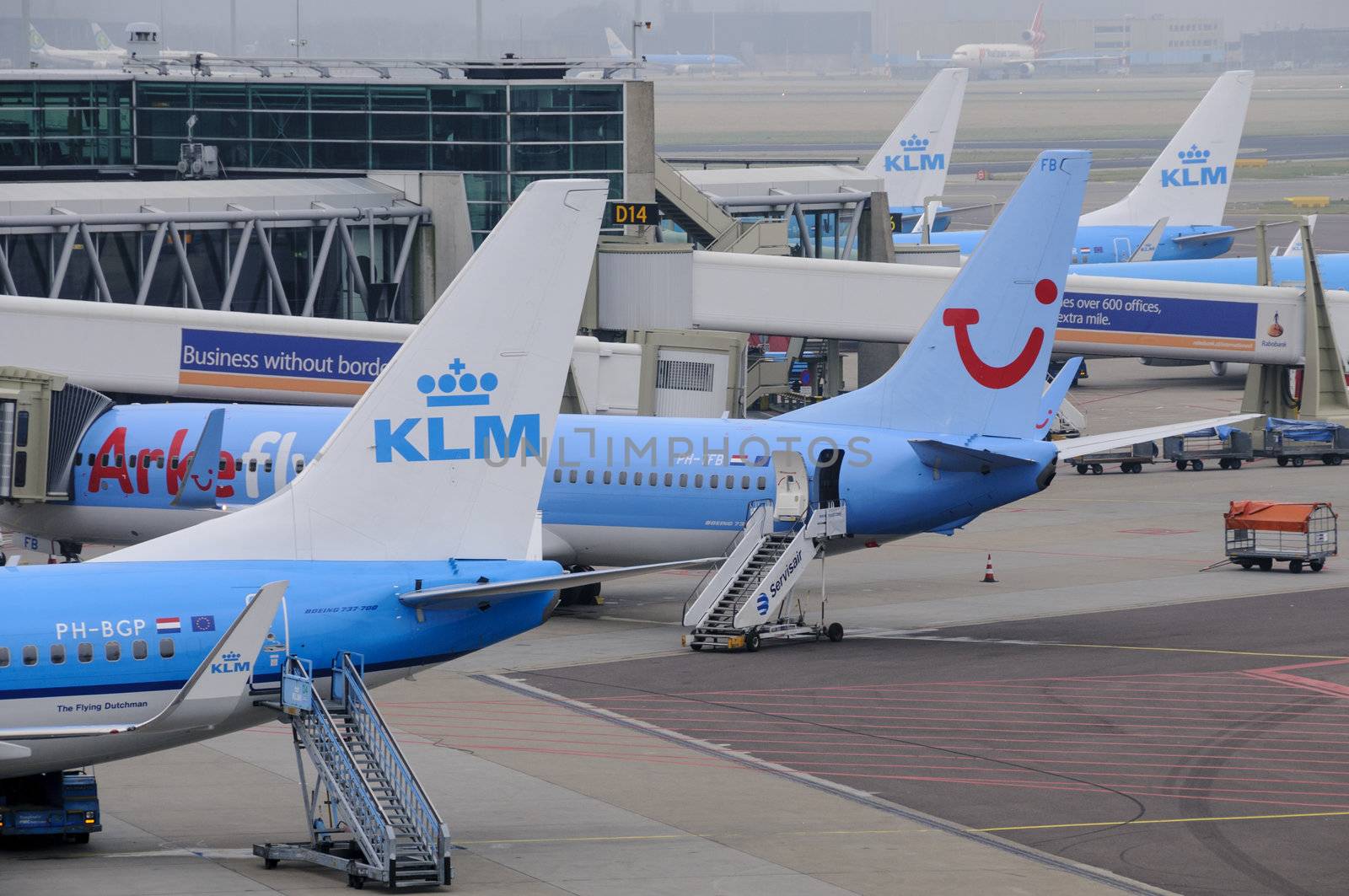 KLM planes being loaded at Schiphol Airport in January, 2012 in Amsterdam, Netherlands. Schiphol international airport is the main airport in Holland and one of the busiest European airports