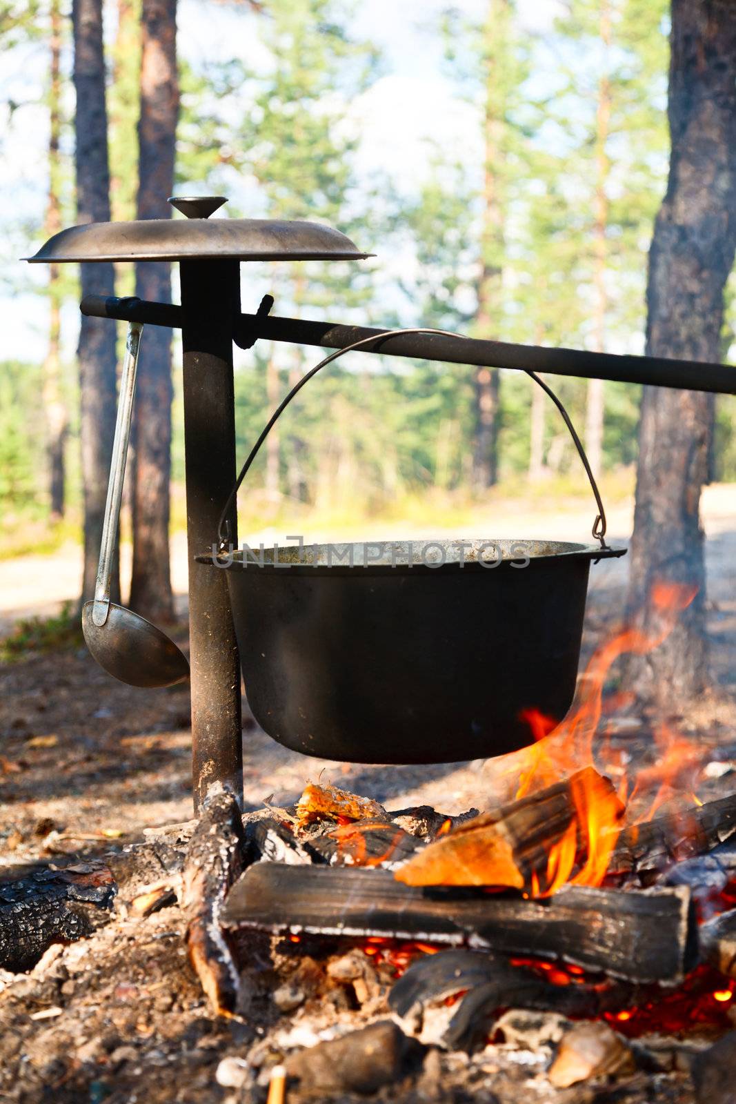 Cauldron over campfire by naumoid