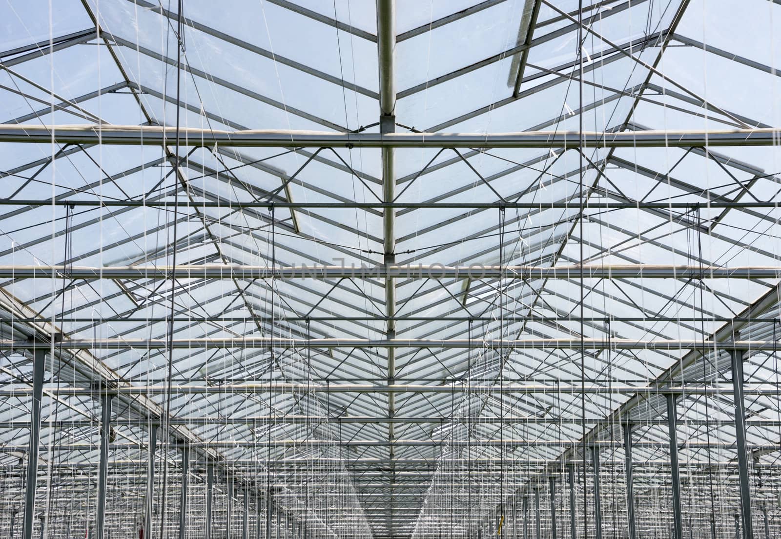 glass roof of greenhouse