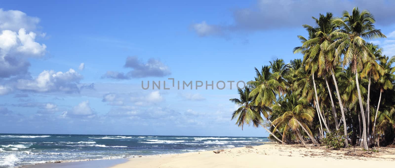 panoramic view of caribbean beach under the sun