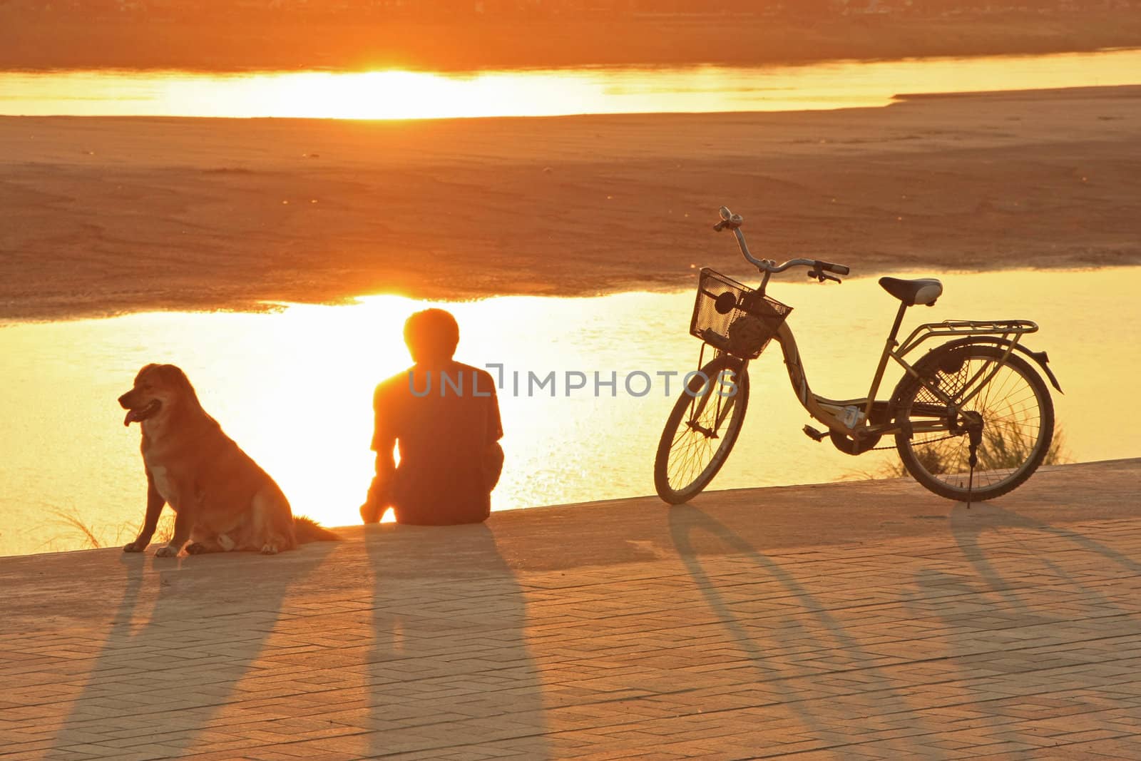 Person admiring sunset over river with dog and bicycle