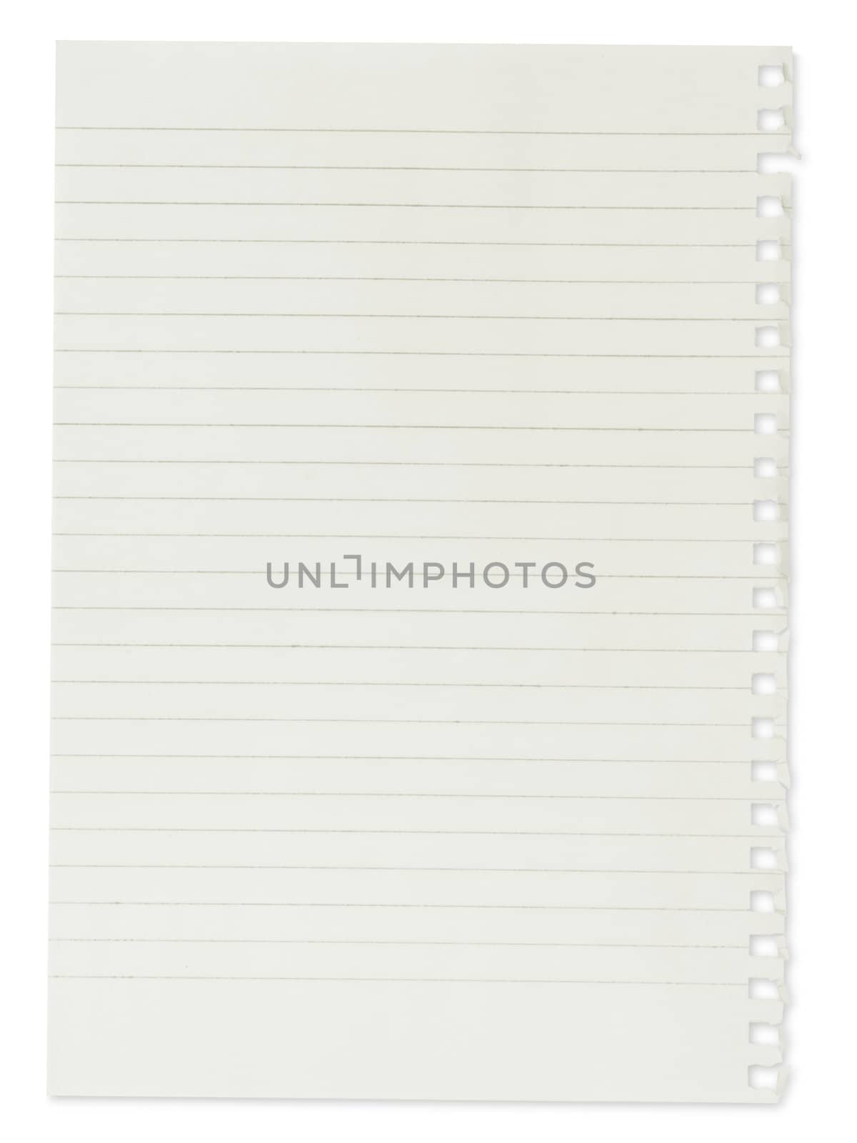paper page notebook. textured isolated on the white backgrounds