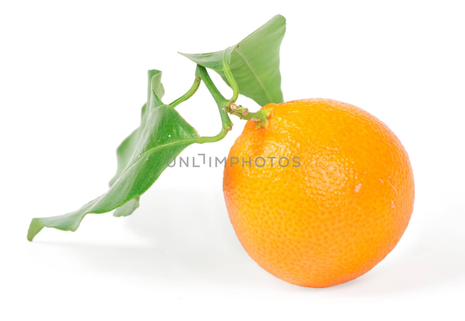 Tangerine with green leaves isolated on white