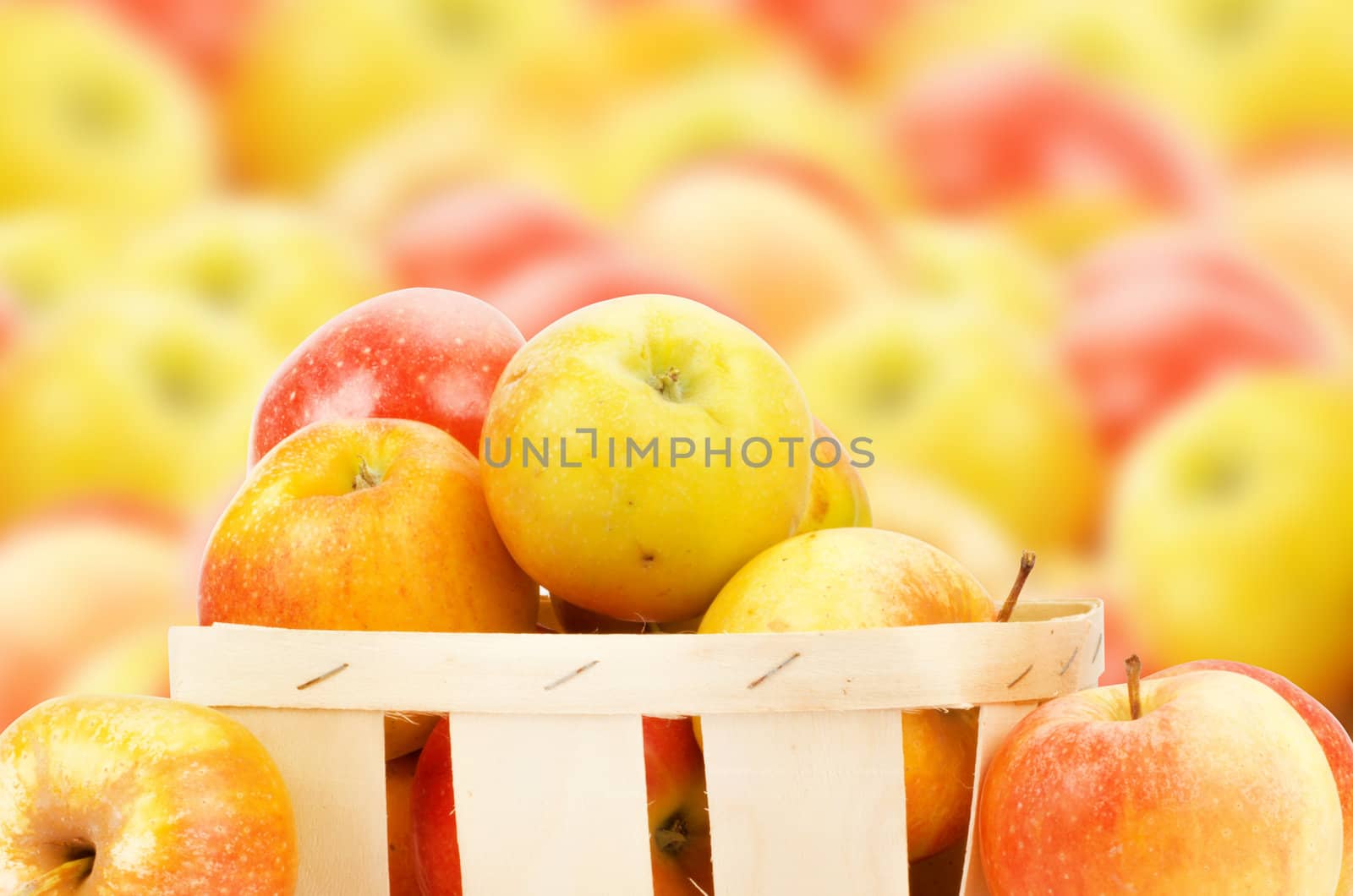 Fresh and colorful apples, selective focus
