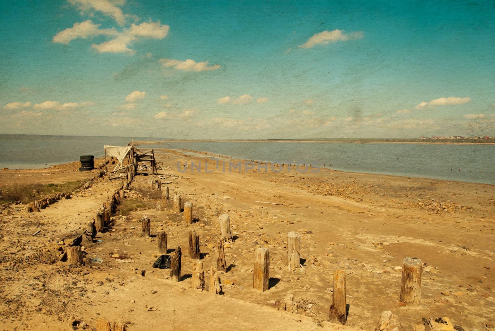 littered the drying lake shore on blue sky background