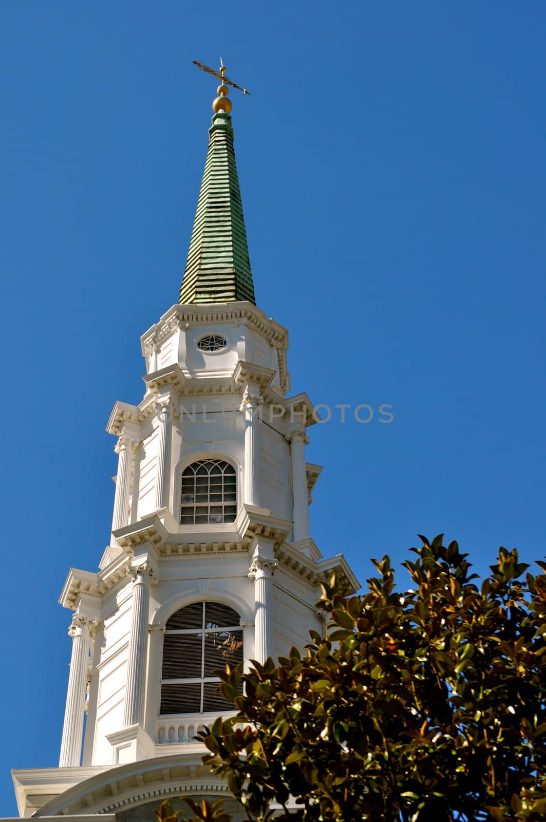 Savannah Architecture by RefocusPhoto