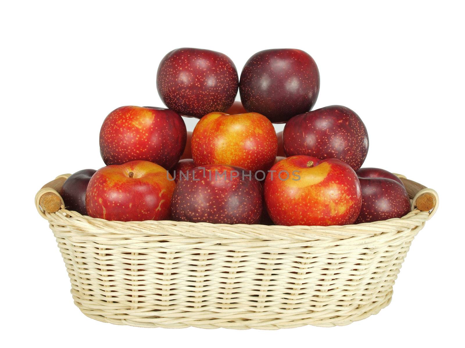 basket of plums by Ric510