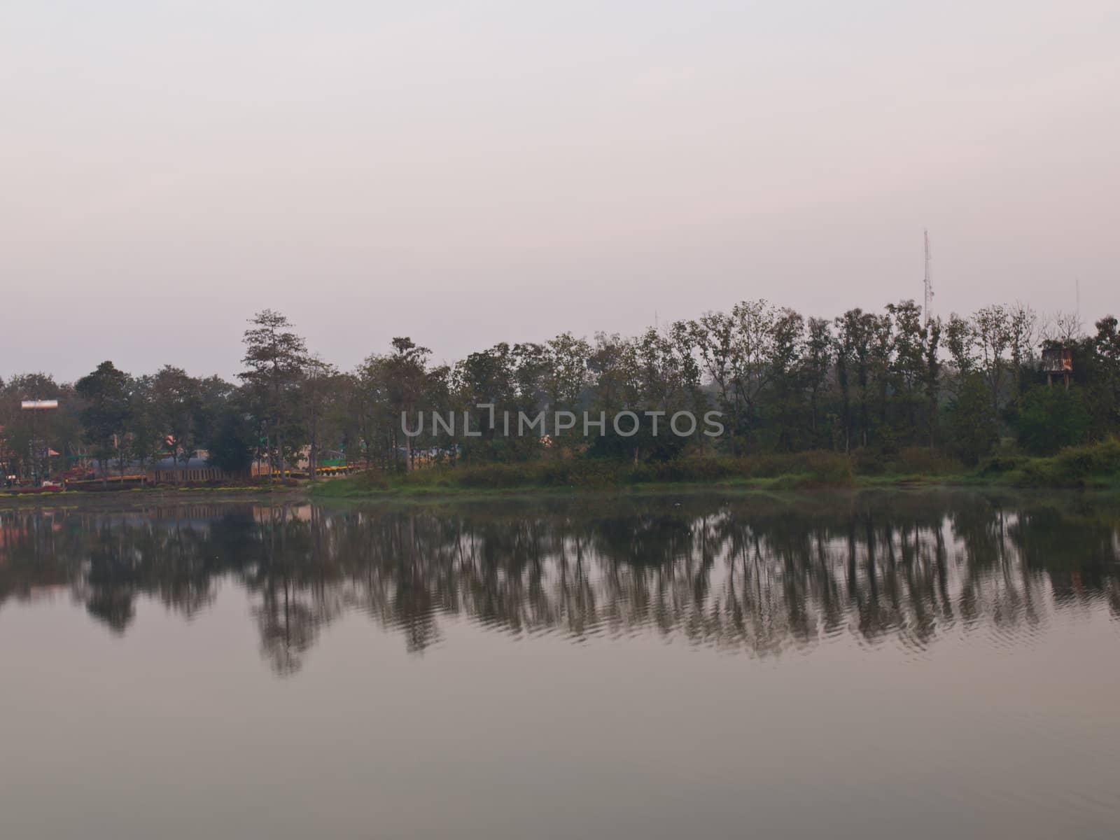 Morning breaks over the glassy still lake and tree background by gururugu