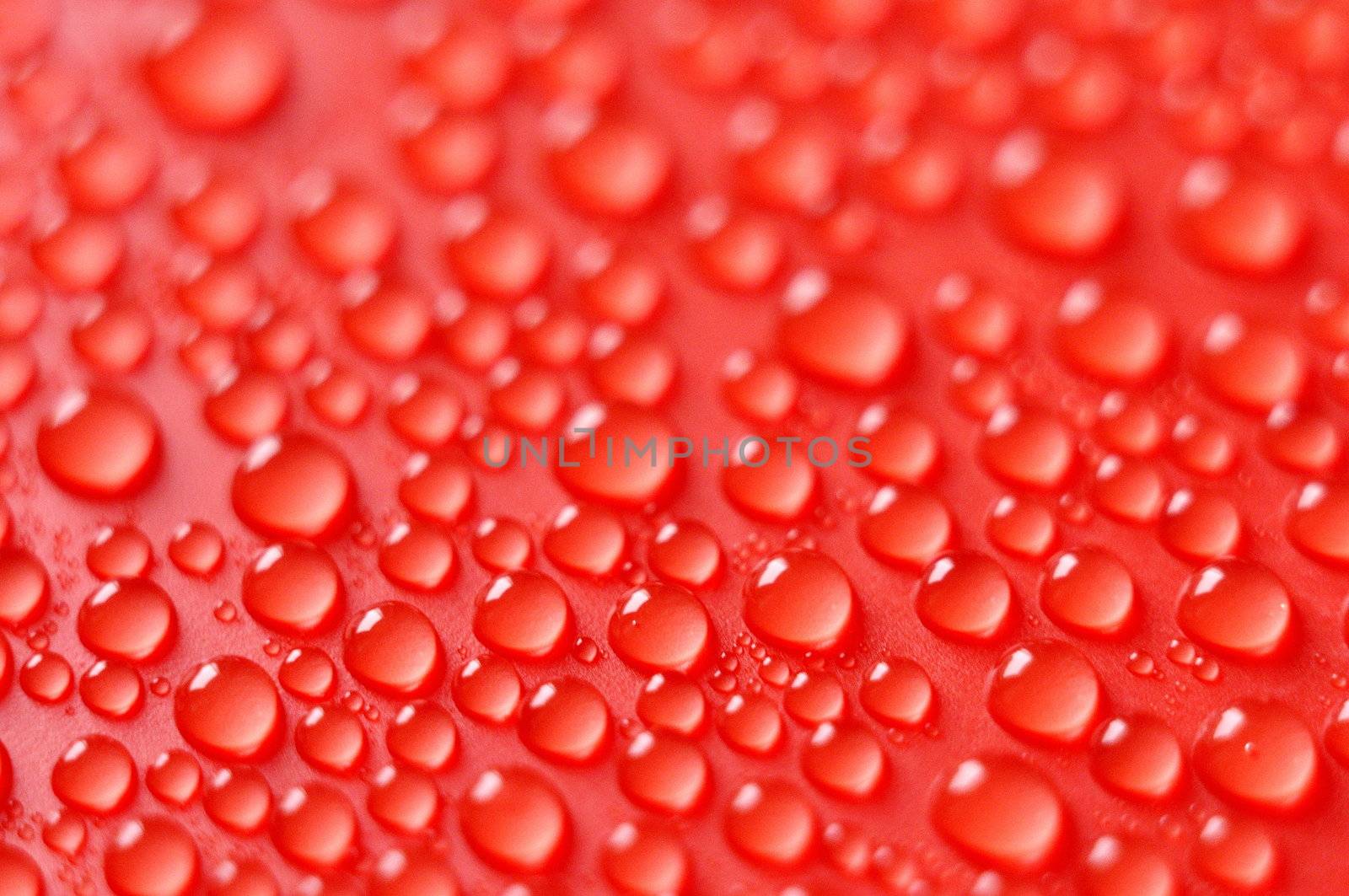 Red Droplets