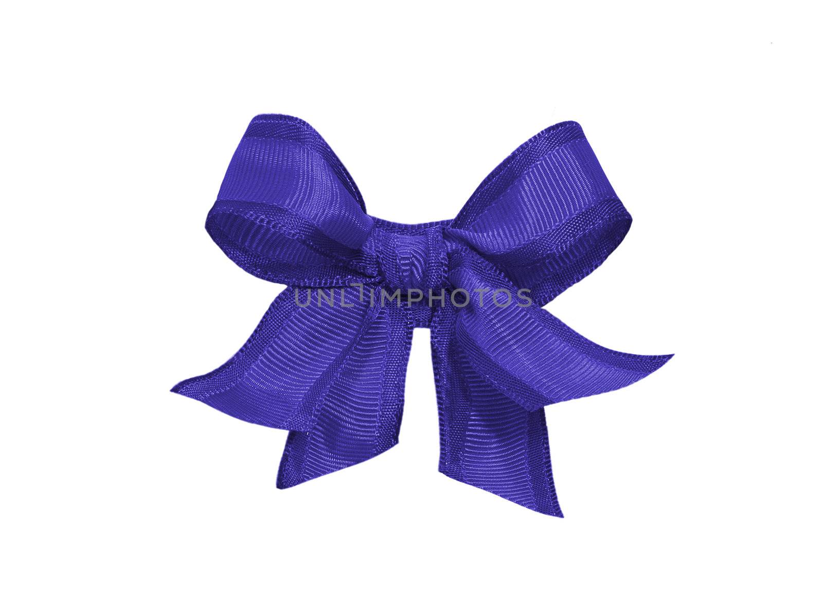 purple bow isolated