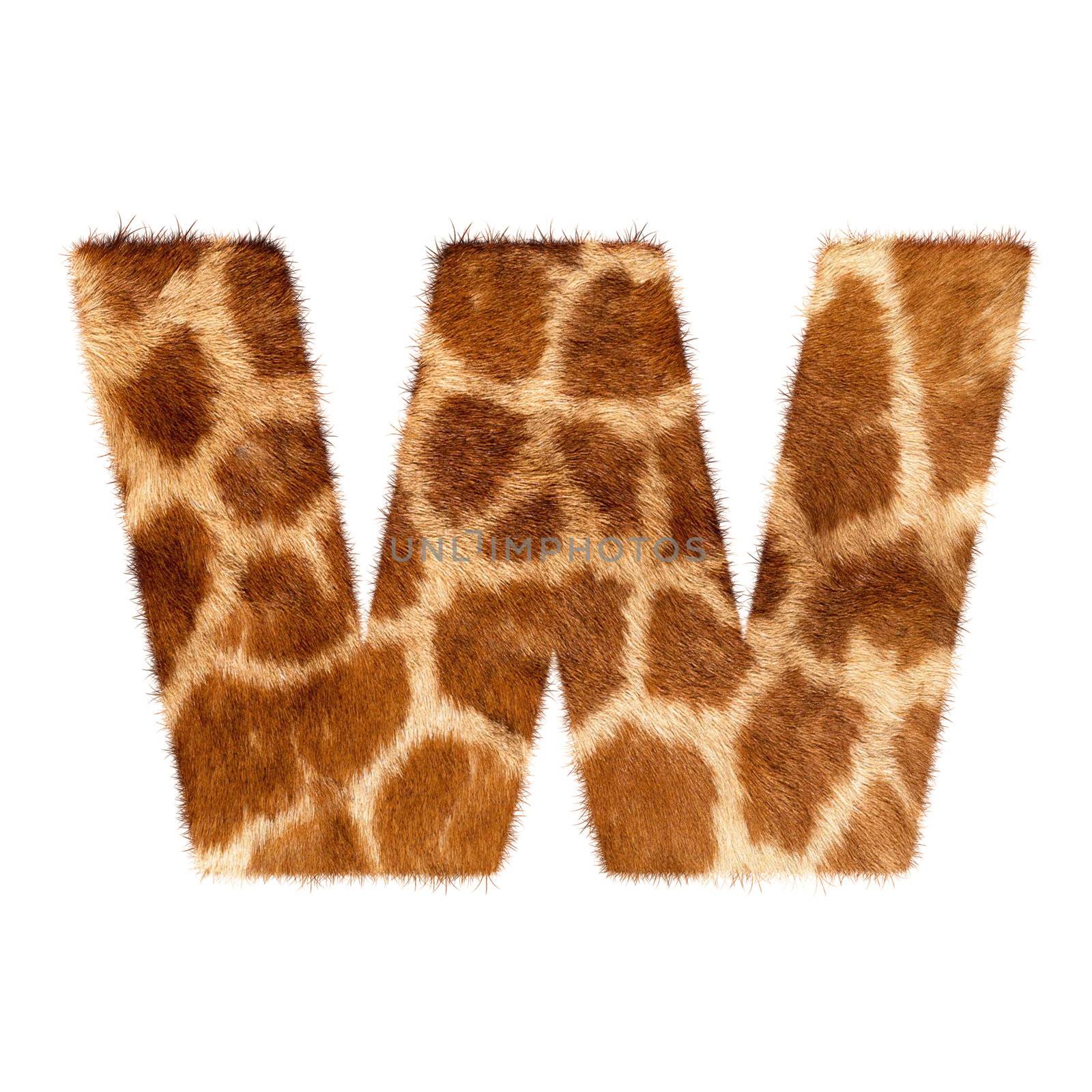 Letter from giraffe style fur alphabet. Isolated on white background. With clipping path. by ozaiachin