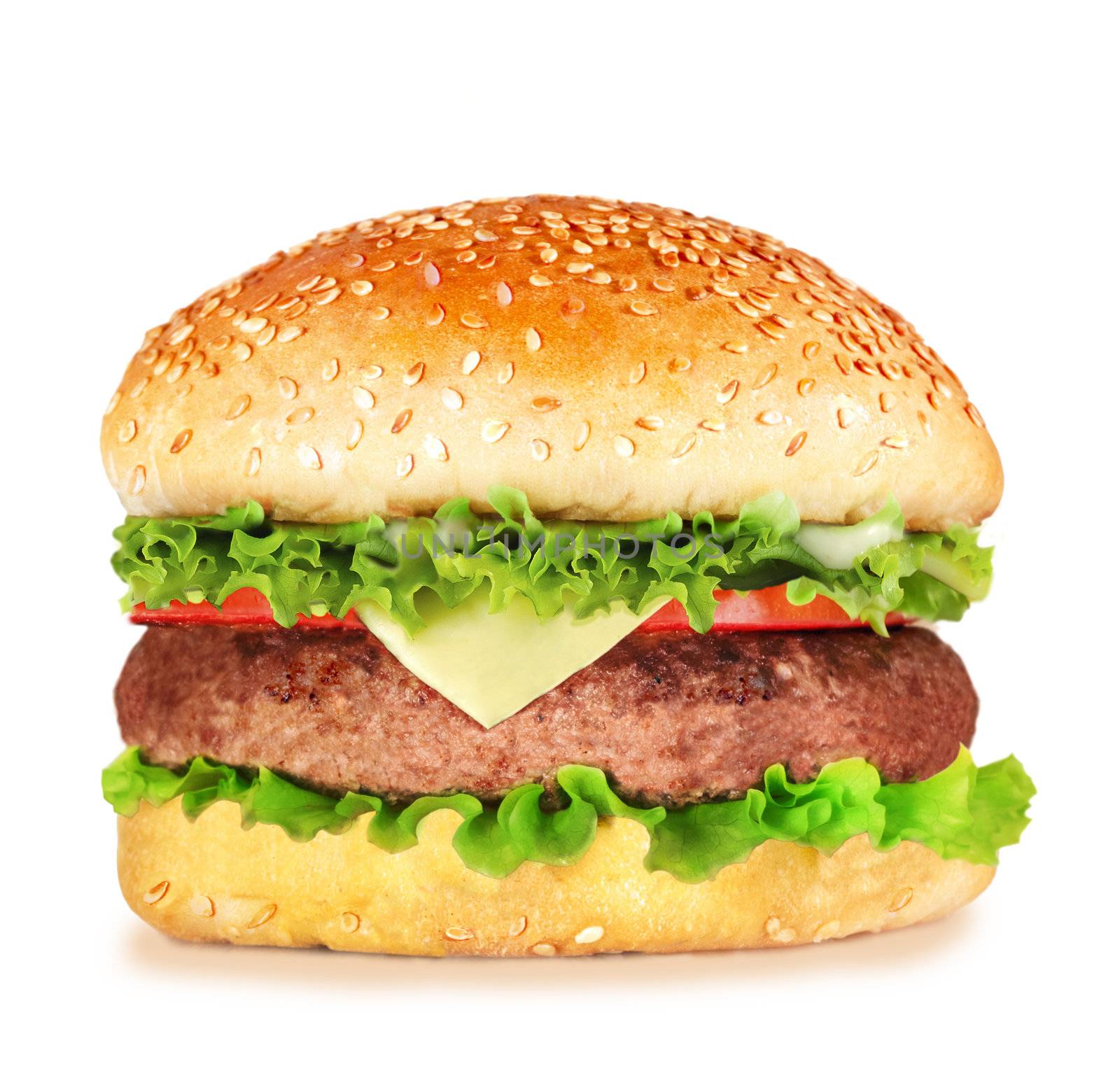 hamburger islolated