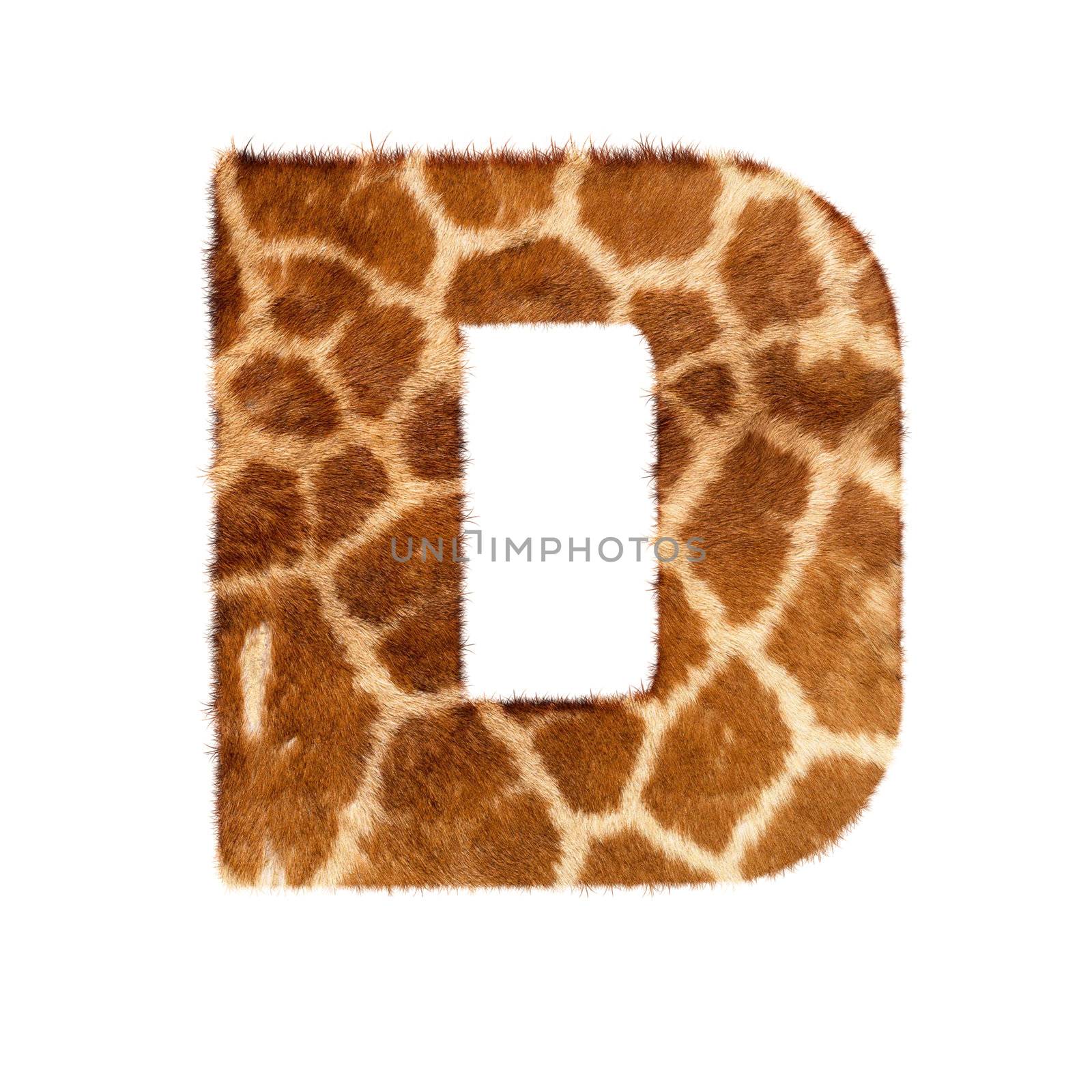 Letter from giraffe style fur alphabet. Isolated on white background. With clipping path. by ozaiachin