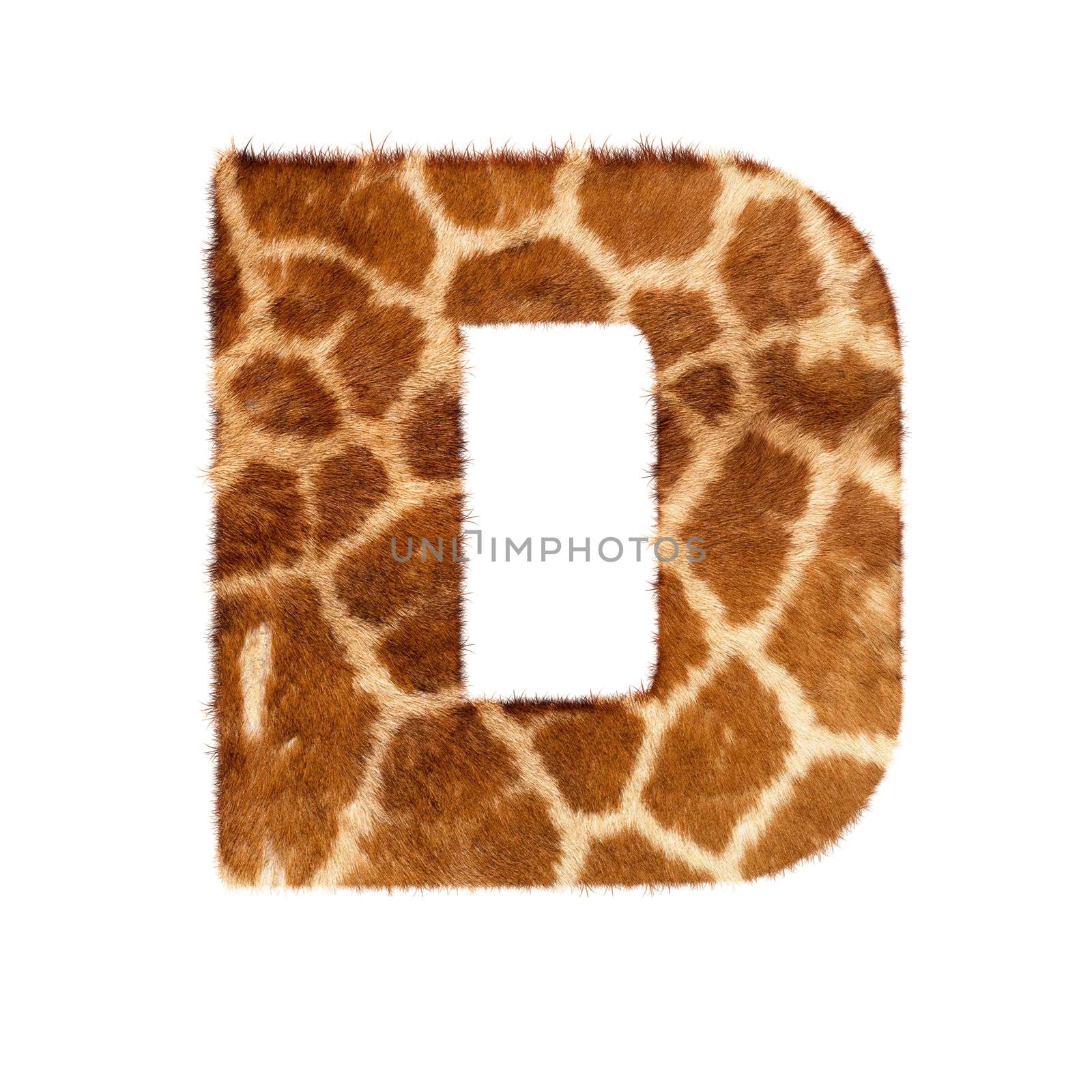 Letter from giraffe style fur alphabet. Isolated on white background. With clipping path.