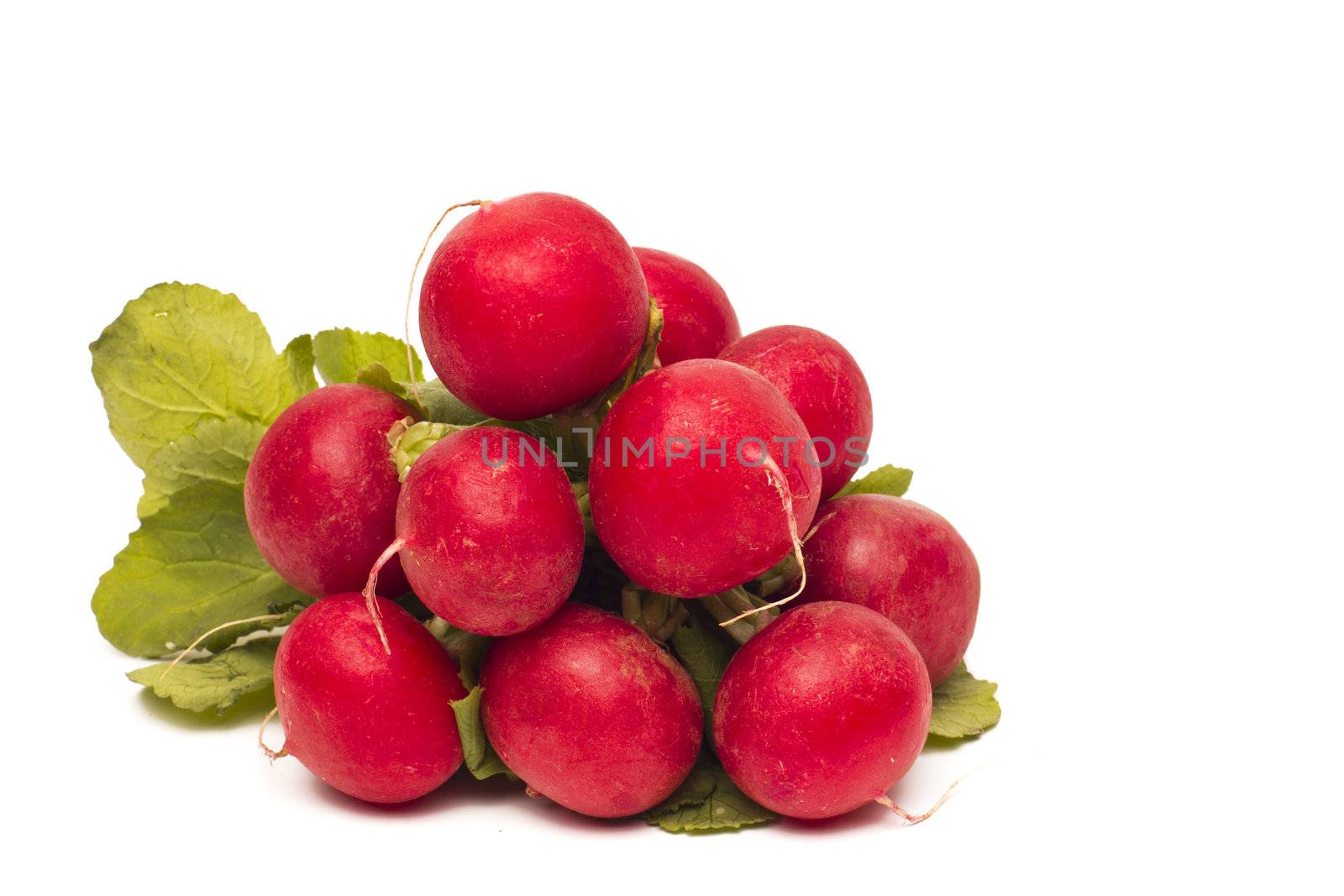 Fresh red radish isolated on white background