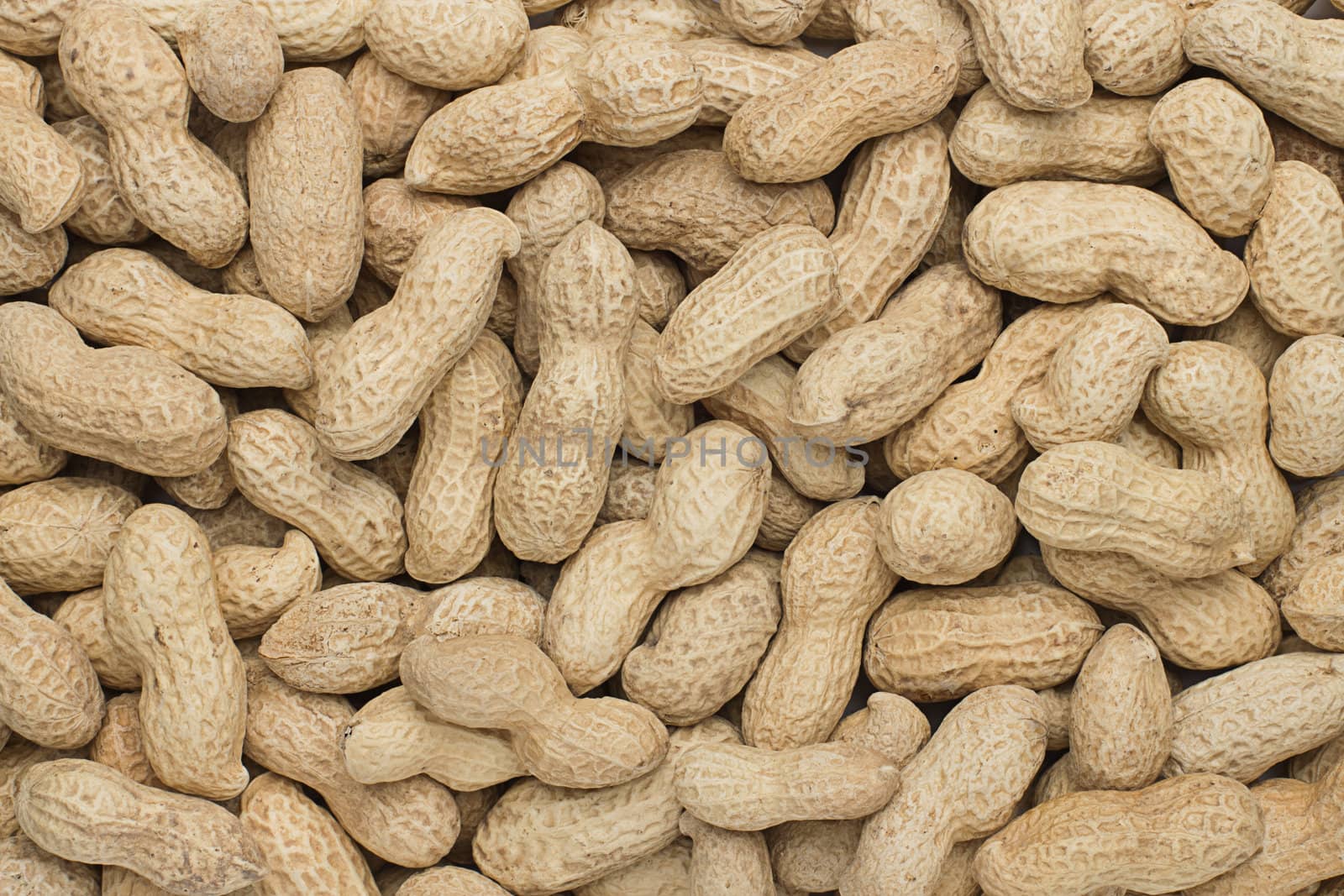 close-up of some peanuts. background