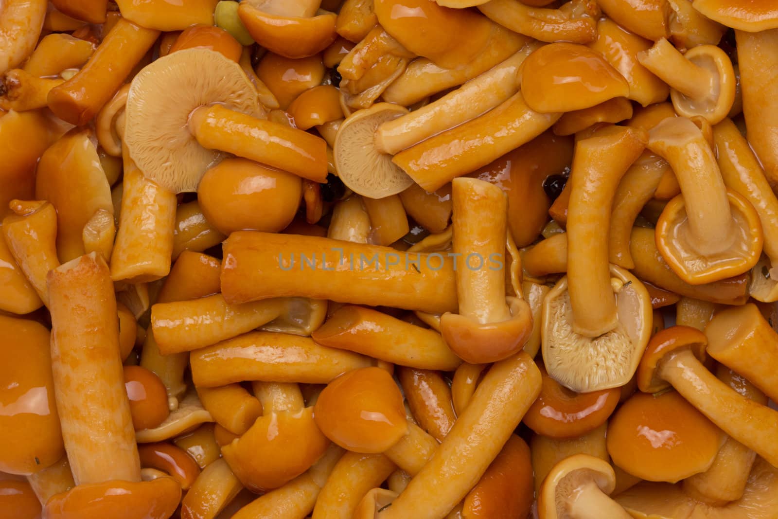 marinated mushrooms background