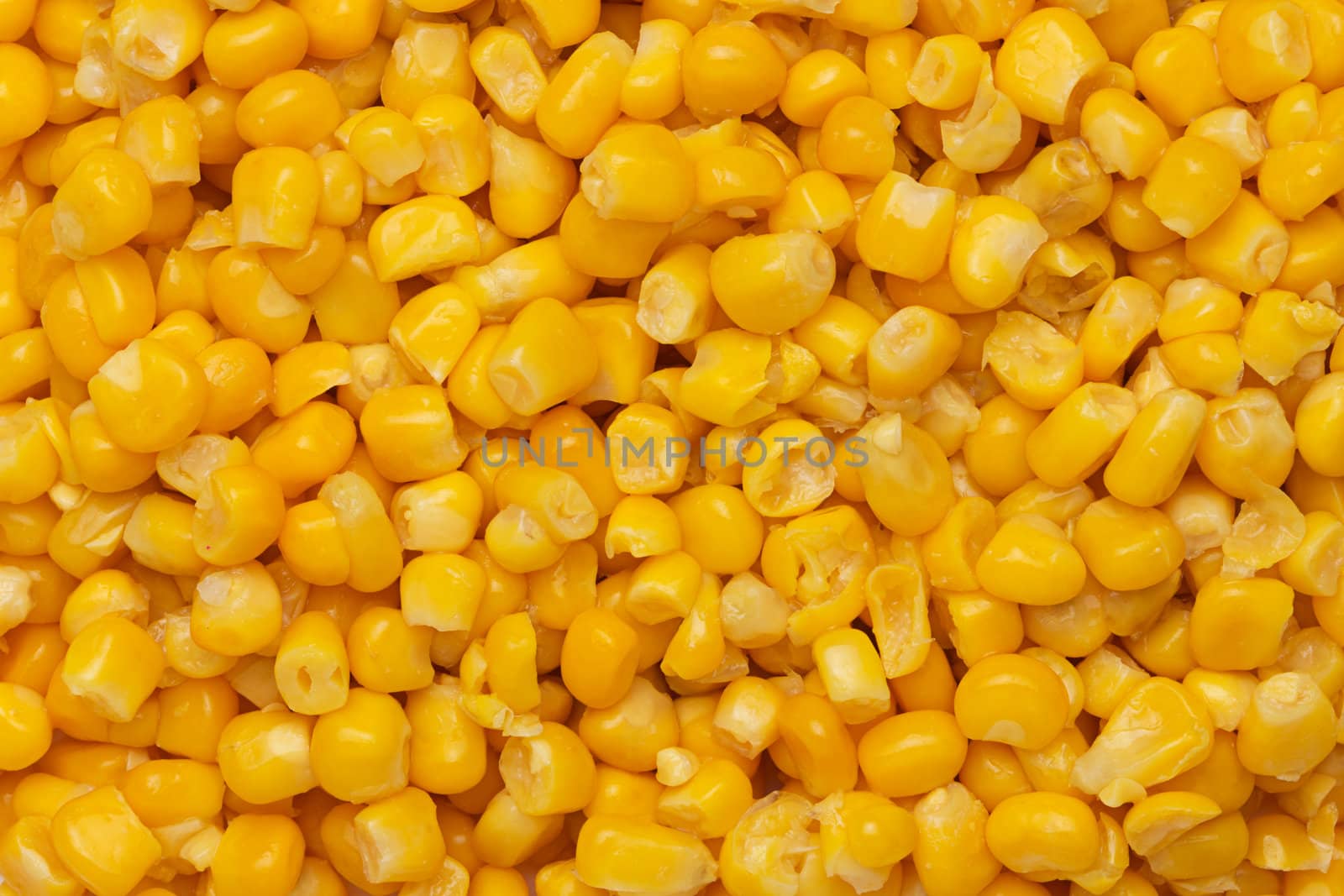 Canned corn background