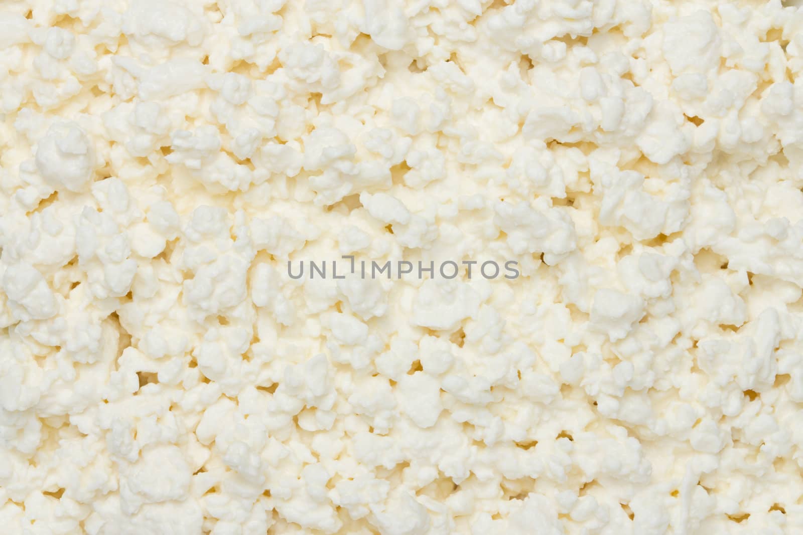  cheese background
