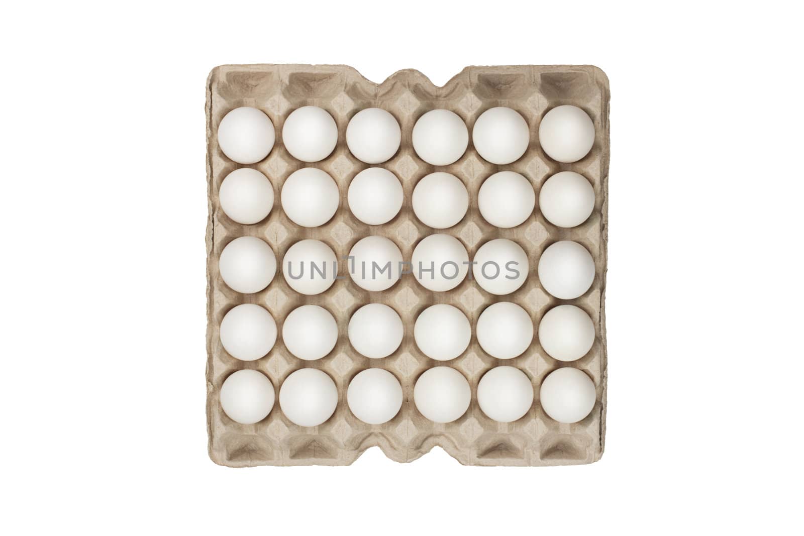 twenty four of white eggs in box