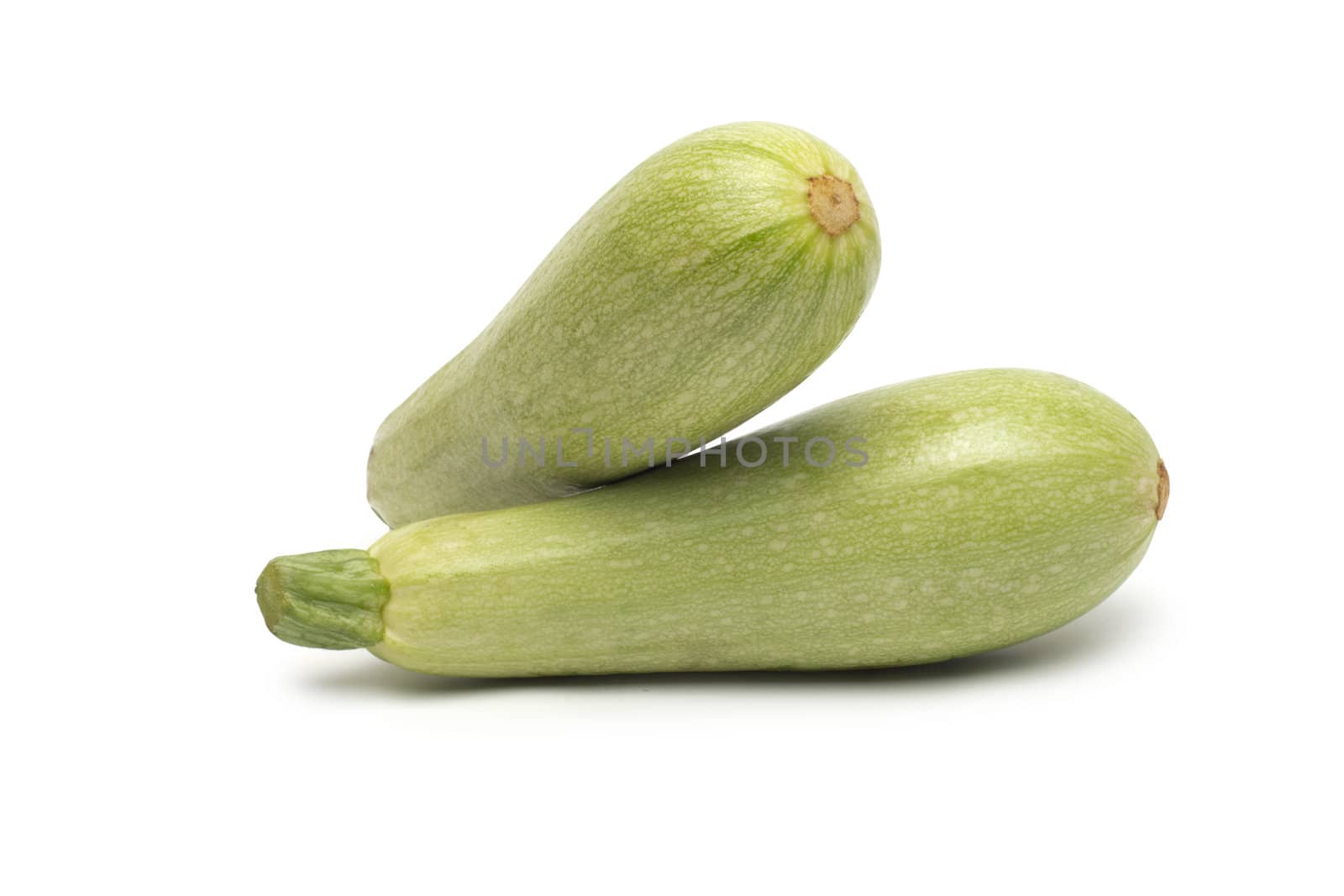 Fresh marrow vegetable. Isolated on white background