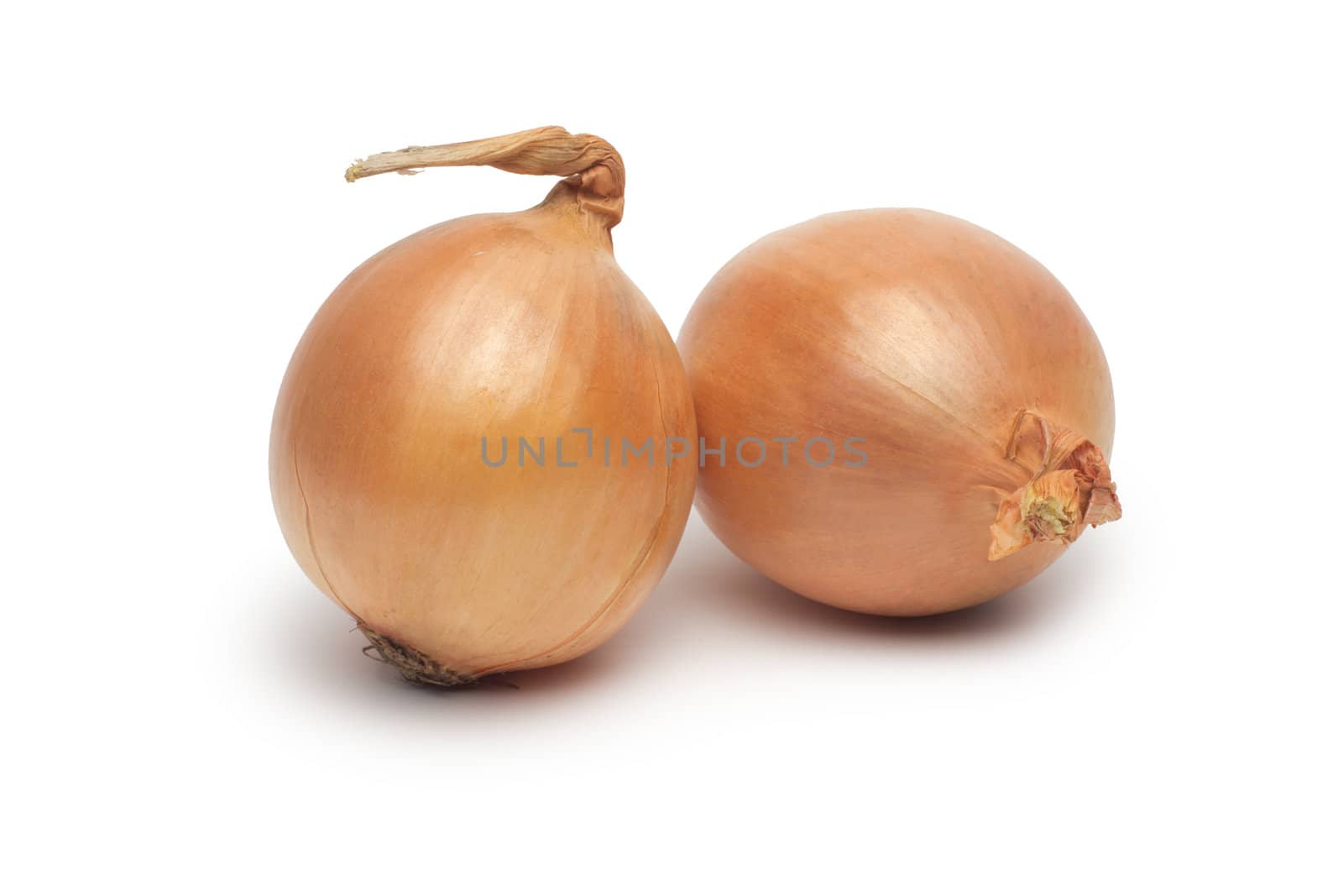 Ripe onion on a white background