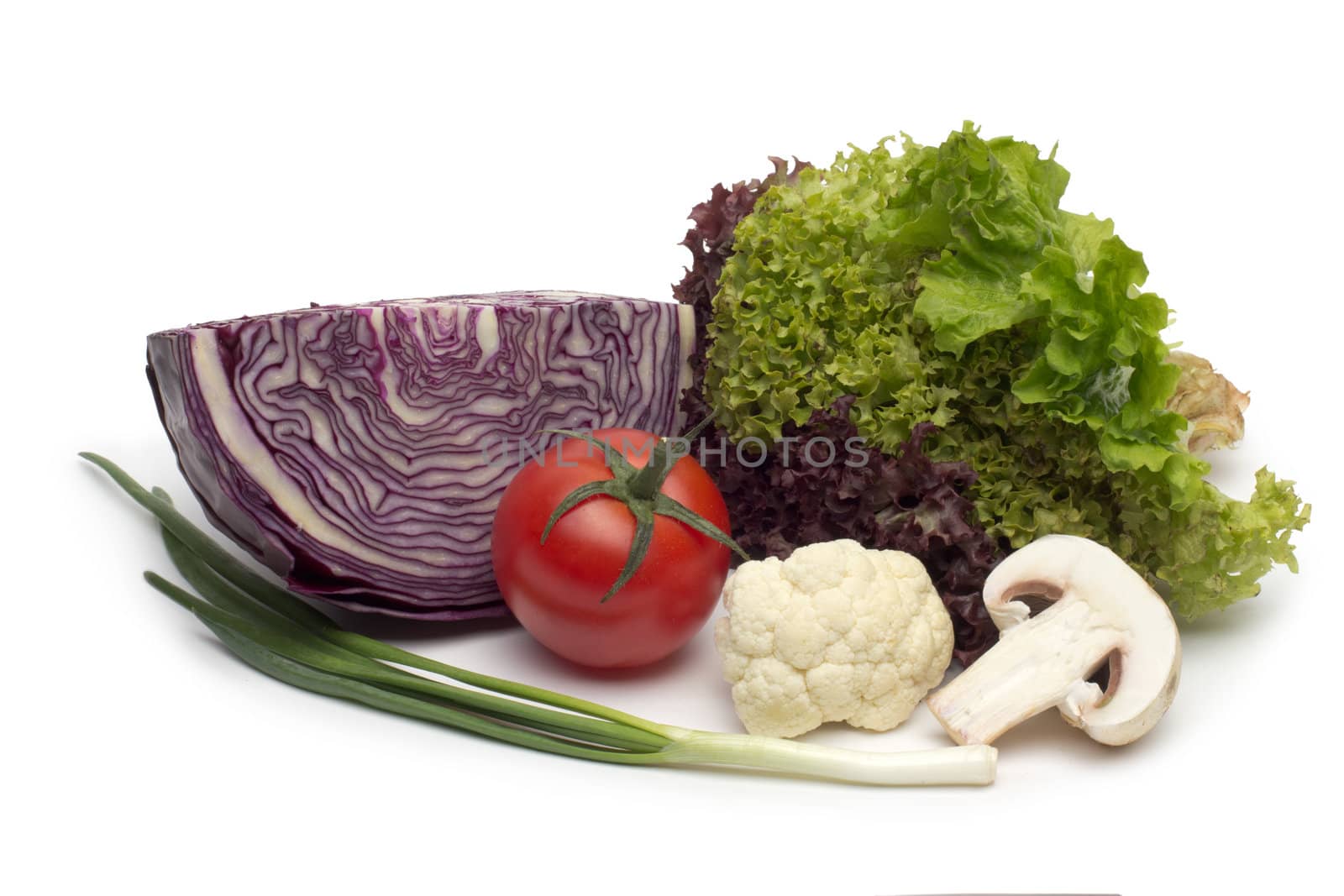 fresh vegetables on the white background