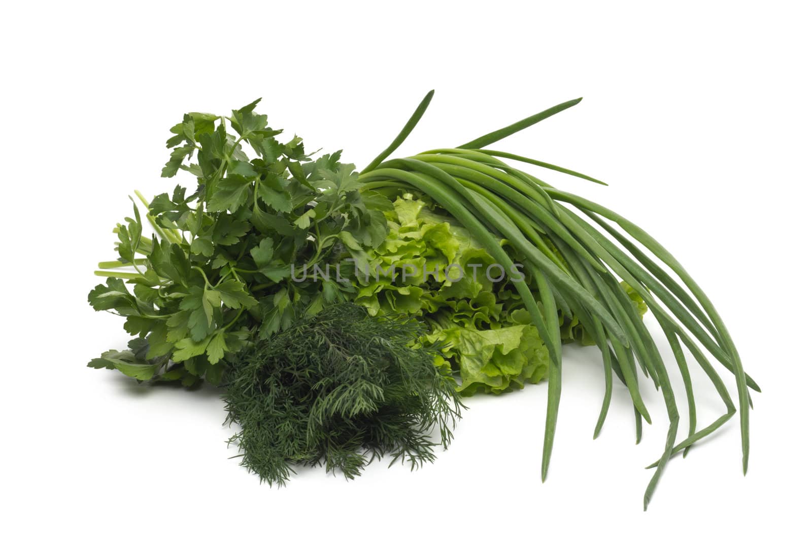 fresh green grass parsley dill onion herbs mix