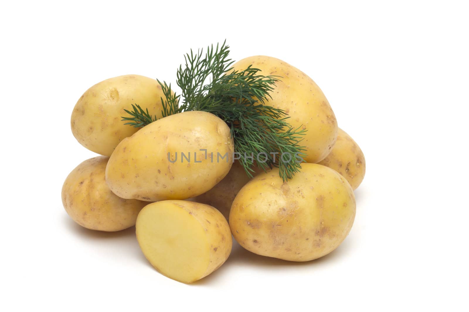 potato isolated on white background close up